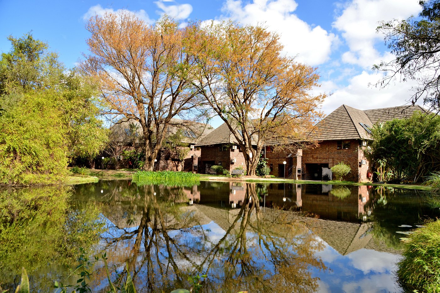 Ngwenya Lodge