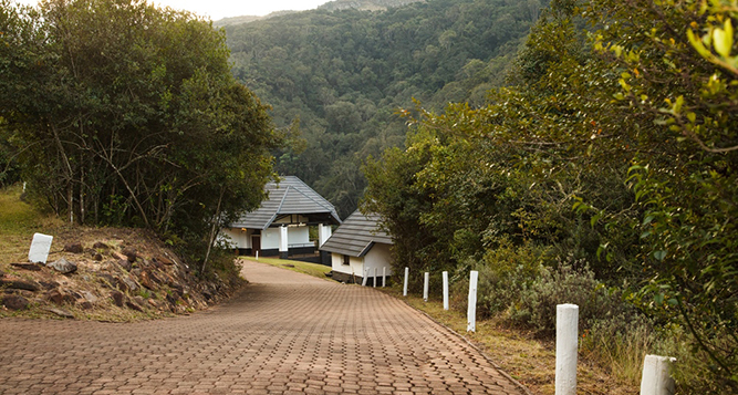 Resort Gallery
